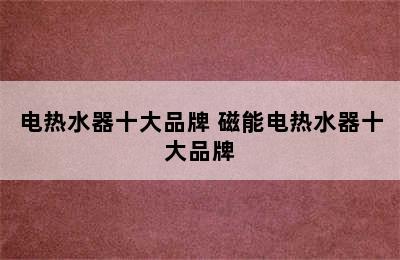 电热水器十大品牌 磁能电热水器十大品牌